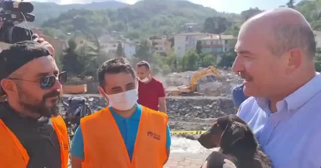 Kurtarılan köpeğe 'Bozkurt' adını verdi