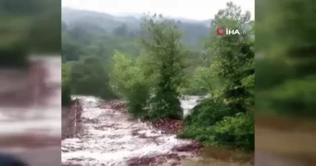 Selin en dehşet anları sosyal medyada böyle paylaşıldı