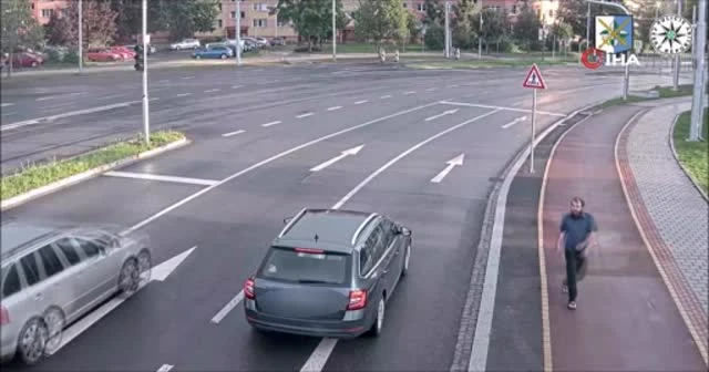 Aniden aracın önüne atladı, kalkıp yoluna devam etti