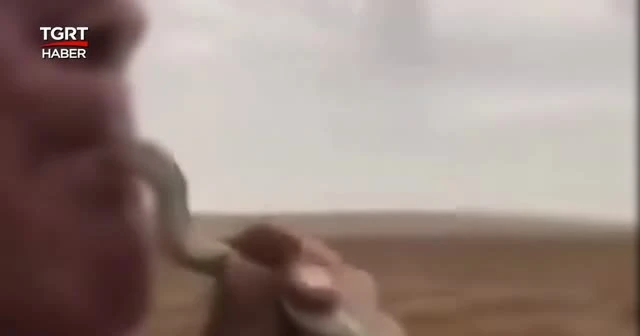 Arkadaşlarını etkilemek için yılanı ağzına soktu öldü