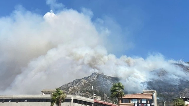 Hatay'daki Neccar Dağı'nda orman yangını
