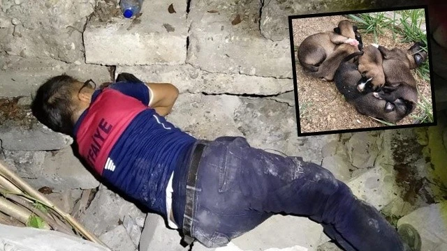 İtfaiyecilerden yavru köpek operasyonu