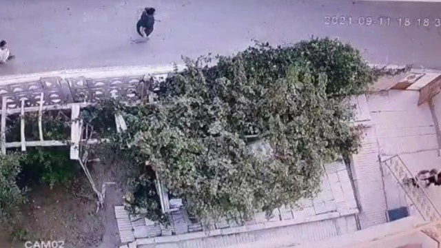 Kaykay süren çocuğa pitbull saldırdı