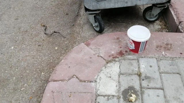 Mama kaplarını döküp hayvanları tekmeledi