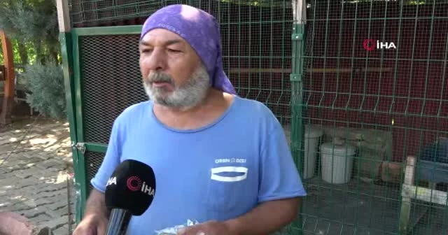 Nandu'nun çaldıkları sonu oldu