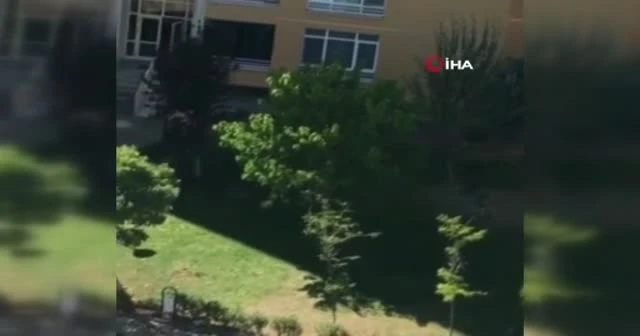 Suçüstü yakalanan hırsızın peşinden koştular