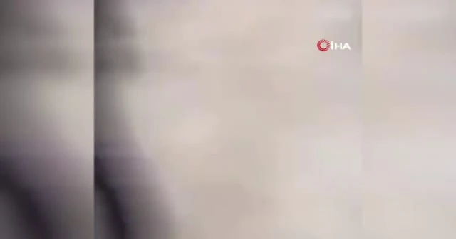ABD’de AVM’de silahlı saldırı: 4 yaralı