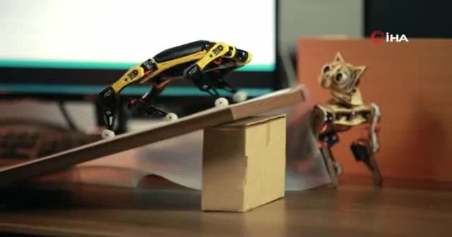 Çin'de geliştirilen evcil robot hayvanlara ilgi artıyor