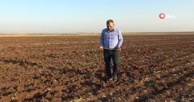 Elinde çubukla gezip yer altı su kaynaklarını buluyor
