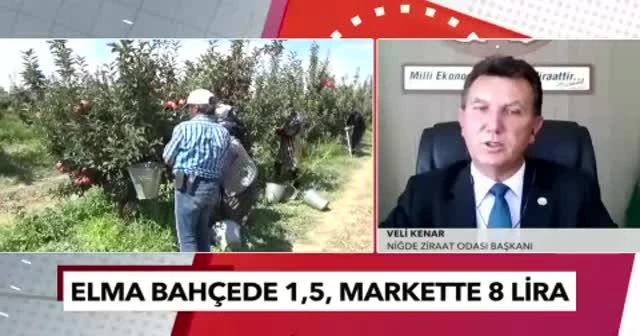 Elmanın da tadı kaçtı! Oda başkanından 'elma fiyatı' isyanı: Niğde de bile 8 TL