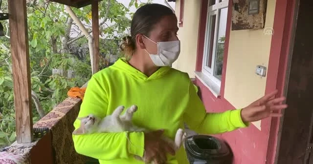 Evine giden kadın kedisini balkona iple asılı halde buldu