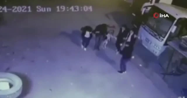 Sosyal medyayı sallayan halay