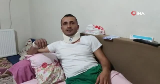 Ayı saldırısının adresi bu kez Bursa