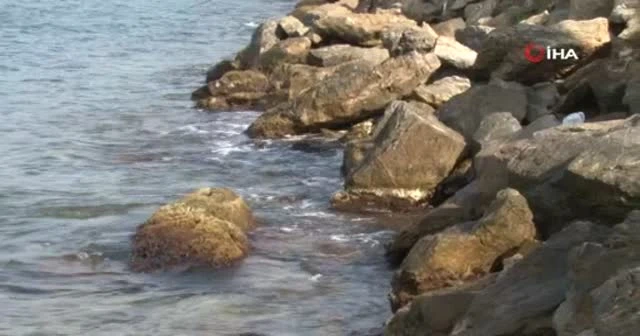 Beykoz'da denizin 80 santimetre çekilmesi tedirgin etti