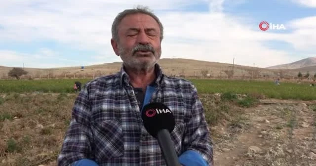Fahiş fiyatlara kızıp 20 dönümlük tarlasını vatandaşa açtı