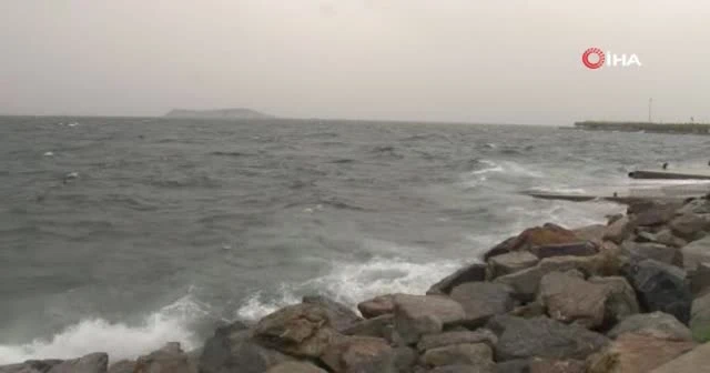Maltepe'de lodos nedeniyle ağaçlar devrildi