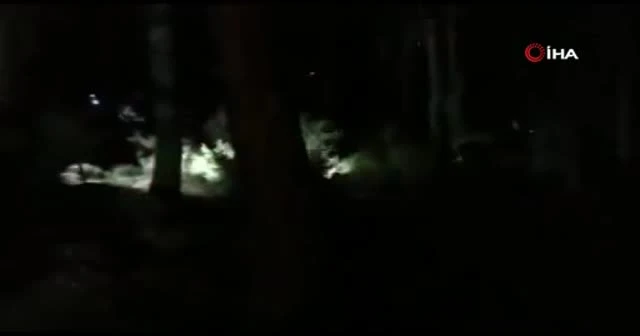Mantar toplamaya giden kadından haber alınamıyor