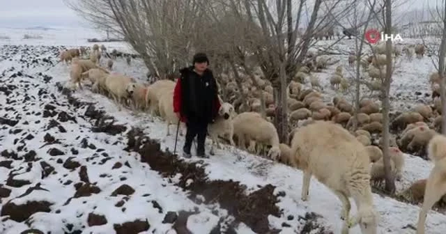 11 yaşındaki çoban dondurucu soğukta sürü güdüyor