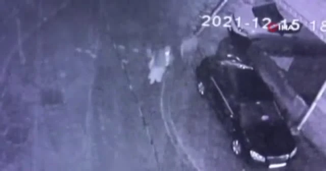 Bugün Neler Oldu? - 21 Aralık 2021
