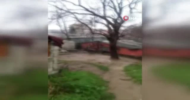 Eşini öldüren zanlıdan skandal savunma: Bana bir şans daha verin