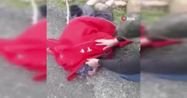 Kocası tarafından şiddet gören kadın yol kenarına yığıldı