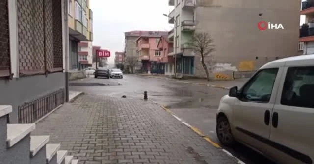 Pendik’te hem köpeğe hem sahibine sopalı saldırı