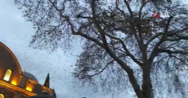 Tarihi cami üzerinde sığırcıkların görsel şöleni