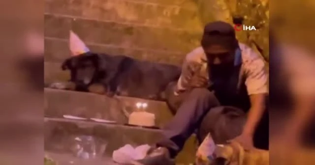 Evsiz adam doğum gününü köpeklerle kutladı