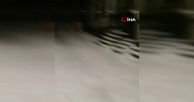 İhbara gittiler, çocukların eğlencesini ortak oldular