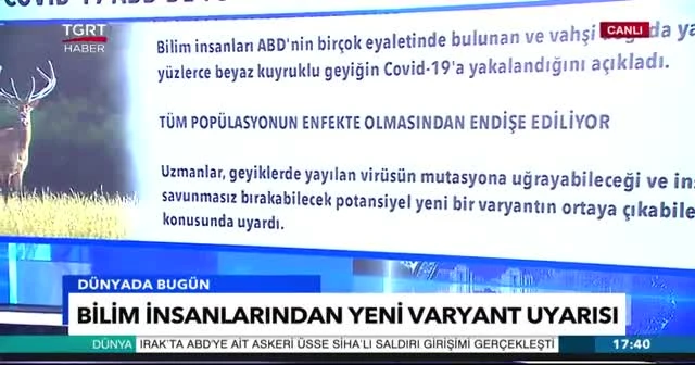 Koronavirüs ABD'de yüzlerce geyiği enfekte etti