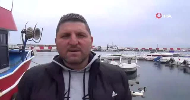 Marmara Denizi ulaşımına poyraz engeli: Çok sayıda tekne limana bağlandı