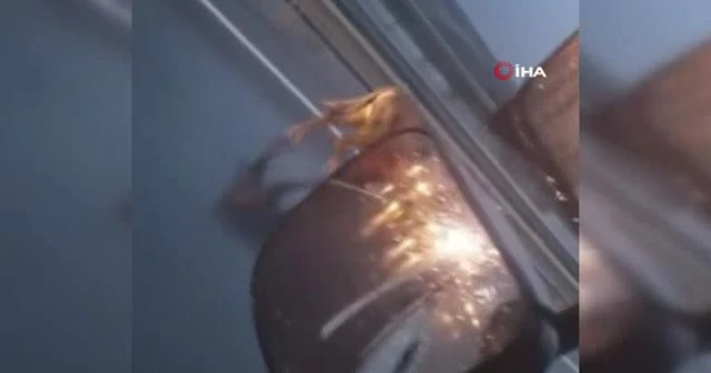 Otoyol hipodroma döndü: Başıboş at görenleri şaşkına çevirdi