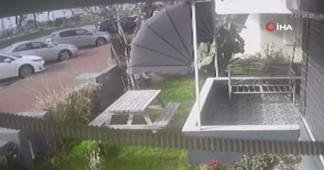 Vicdansızlar kedi evini sürükleyerek götürdü