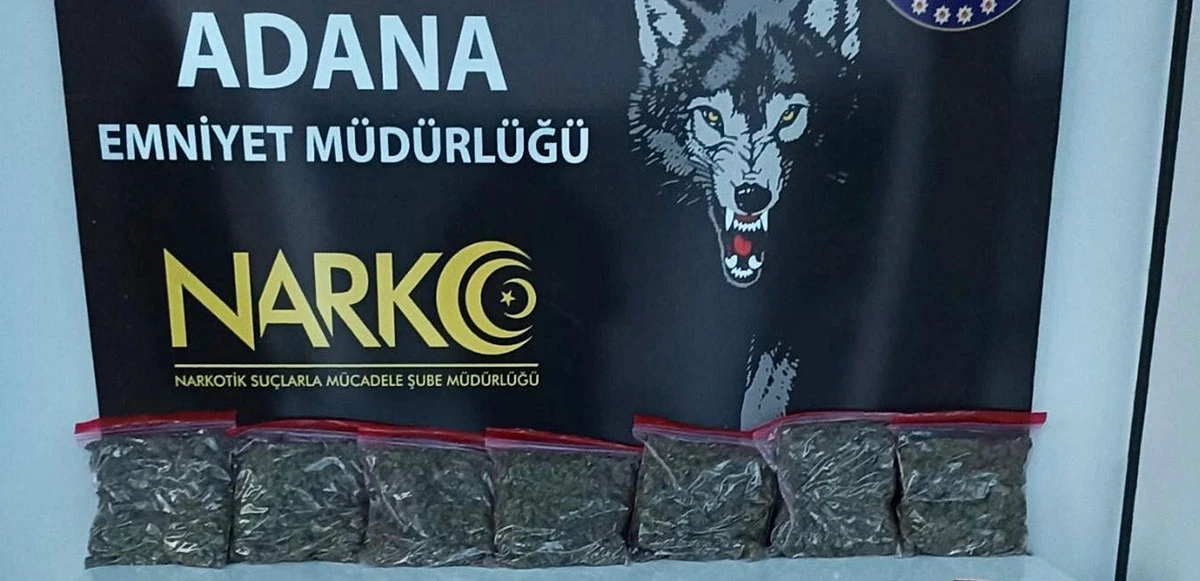 Adana'da 5 kilo 244 gram skunk ele geçirildi