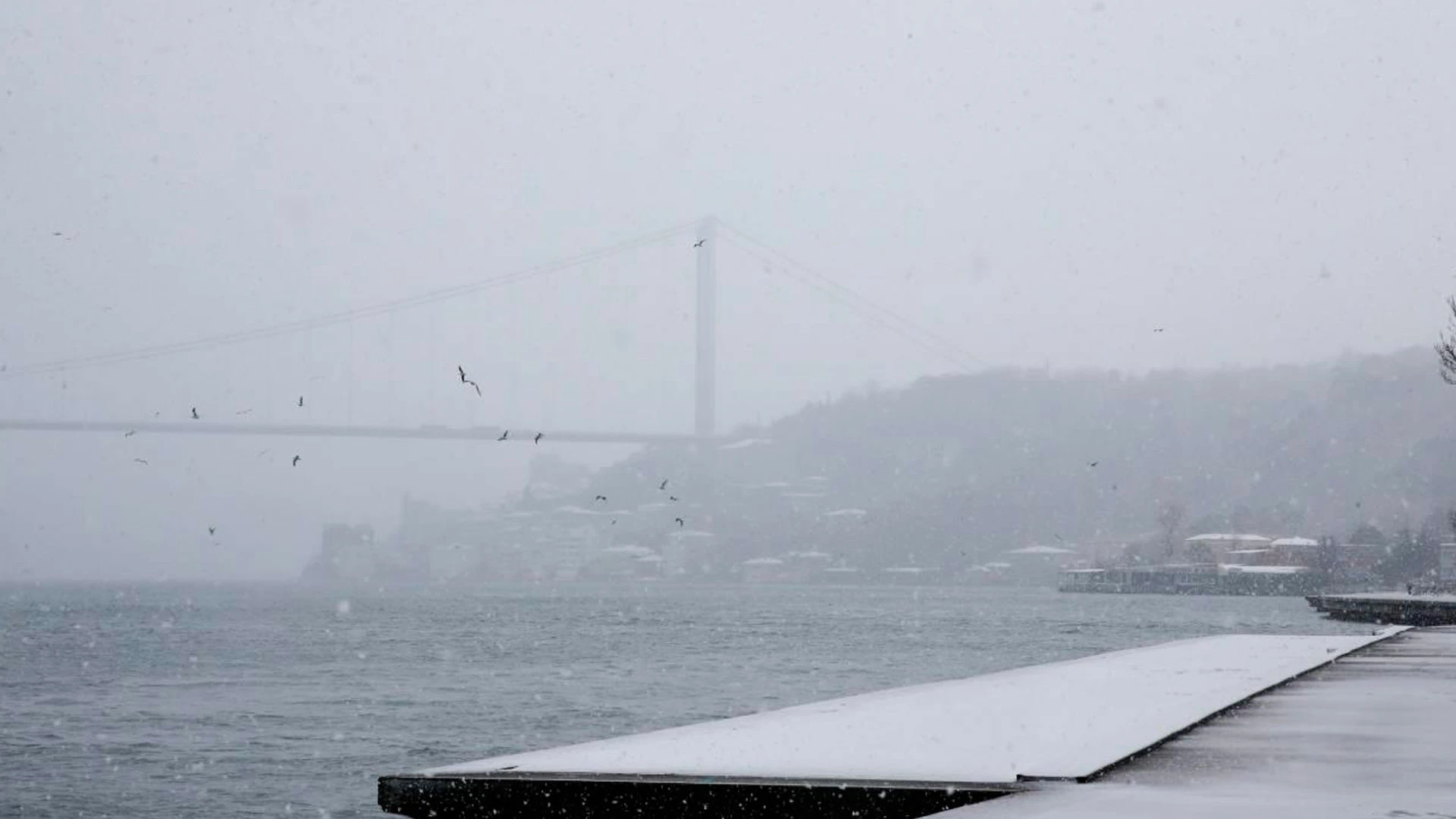 Kar ve sis İstanbul Boğazı'nı esir aldı