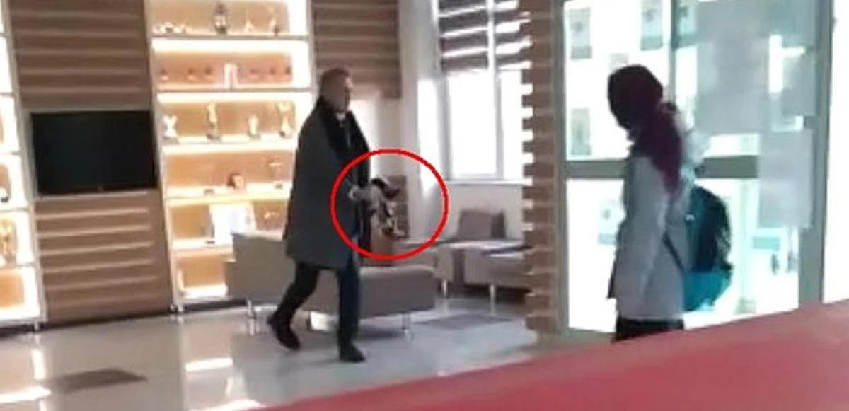 O vurduğun futbol topu değil kedi!