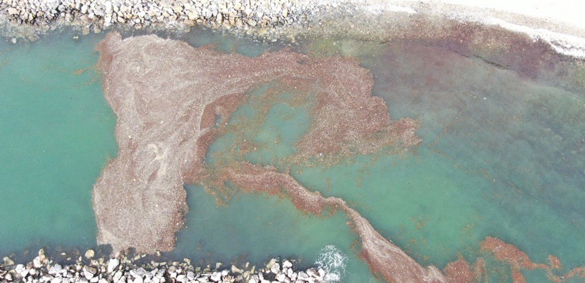 Caddebostan sahili 2 metre çekildi