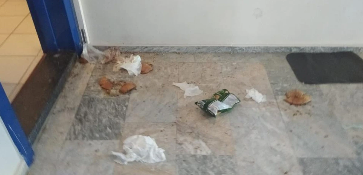 Komşusu genç kadını canından bezdirdi