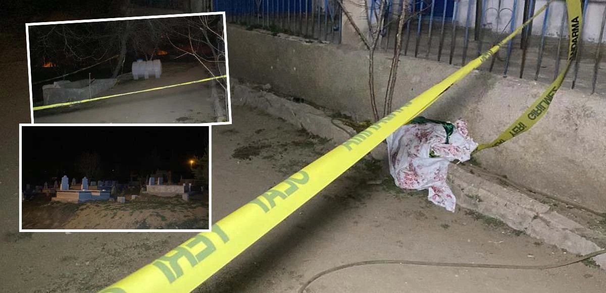 Ziyarete geldi, annesini ve abisini öldürüp intihar etti