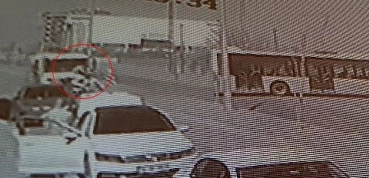 Motosikletin tankerle kafa kafaya çarpıştığı feci kaza kamerada