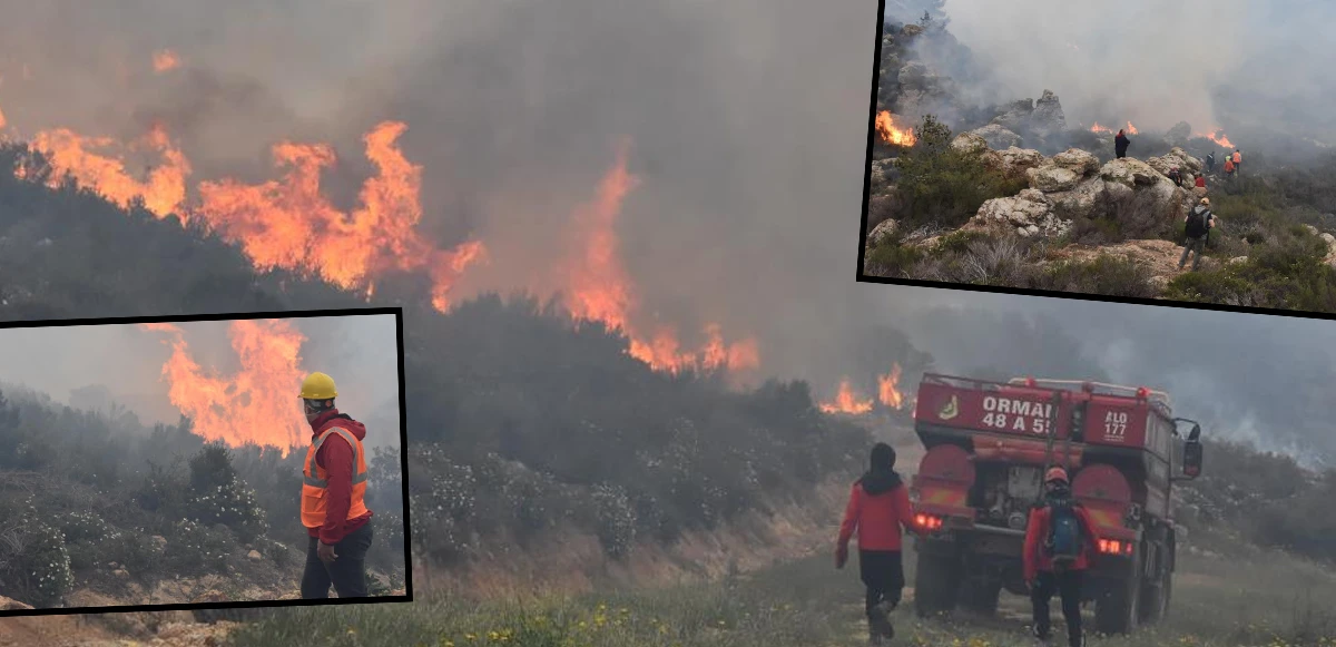 Bodrum’da orman yangını