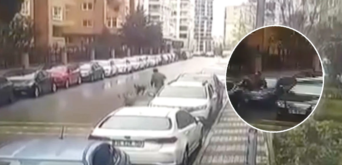 Başıboş köpekler sokak ortasında vatandaşa saldırdı