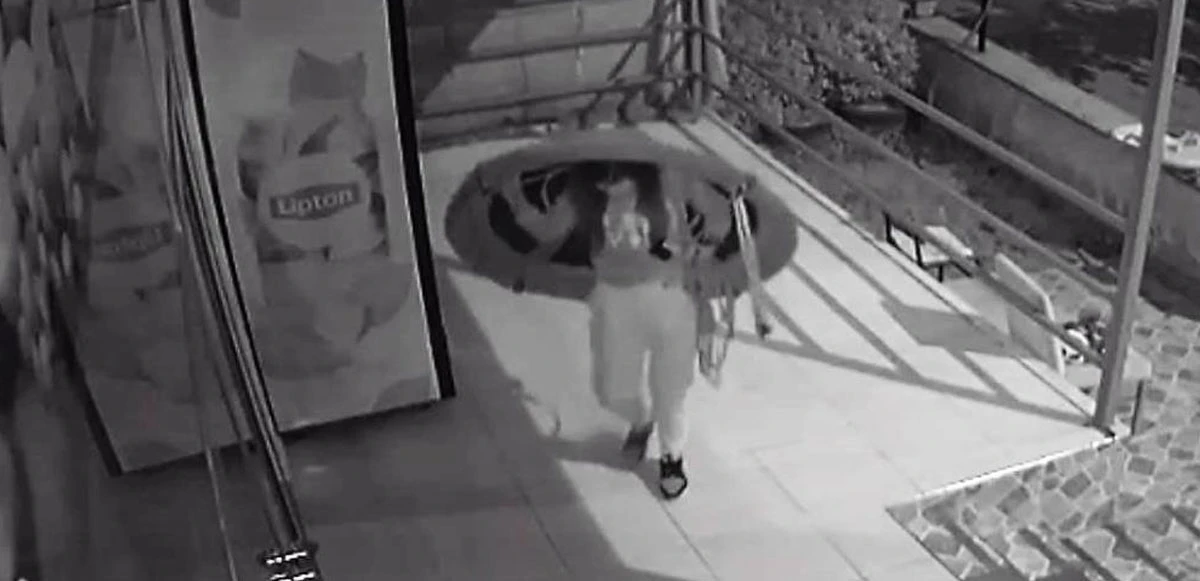 Trambolinli hırsızlık hayrete düşürdü