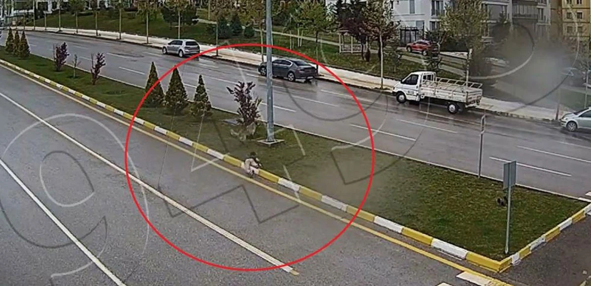 Sahipsiz köpekten kaçarken düşüp yaralandı