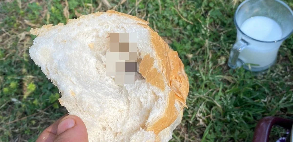 Ekmeğin içinden çıkan fare şoke etti, dava açtılar: Eşim sütten kesildi