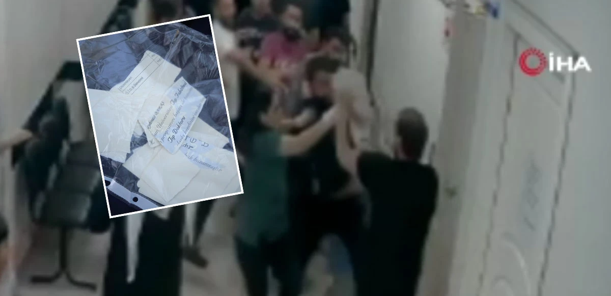 Saldırganlar serbest kalınca doktor diplomasını yırttı