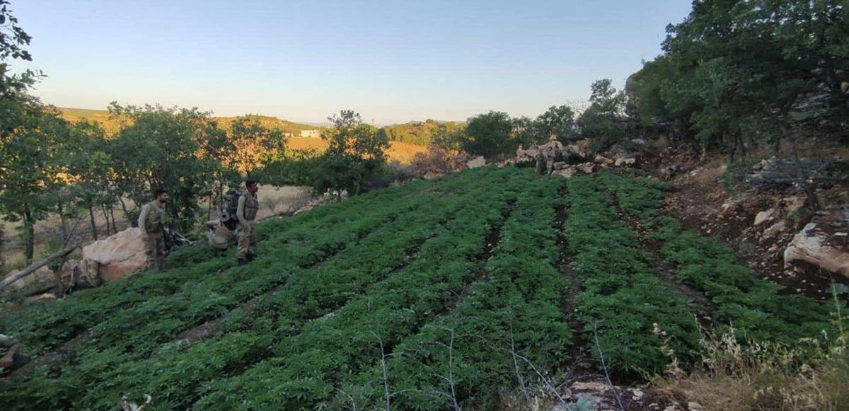 PKK'nın finans kaynağına 'Eren' darbesi