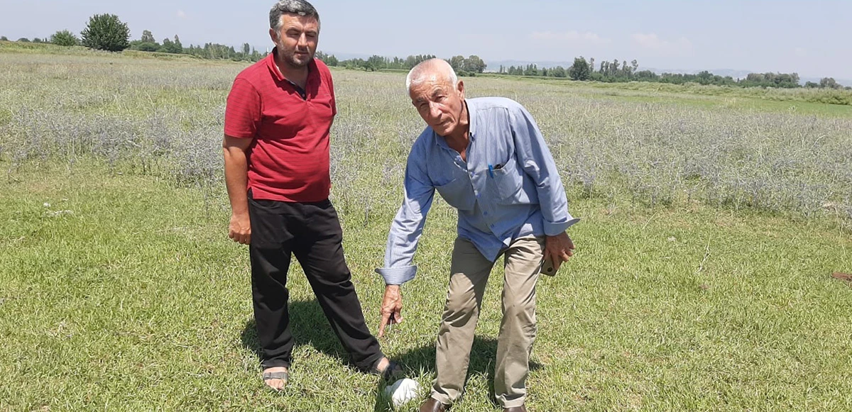 Adana'dan sonra bir ilde daha ham petrol heyecanı! Daha önce kapatılan kuyudan sızdı