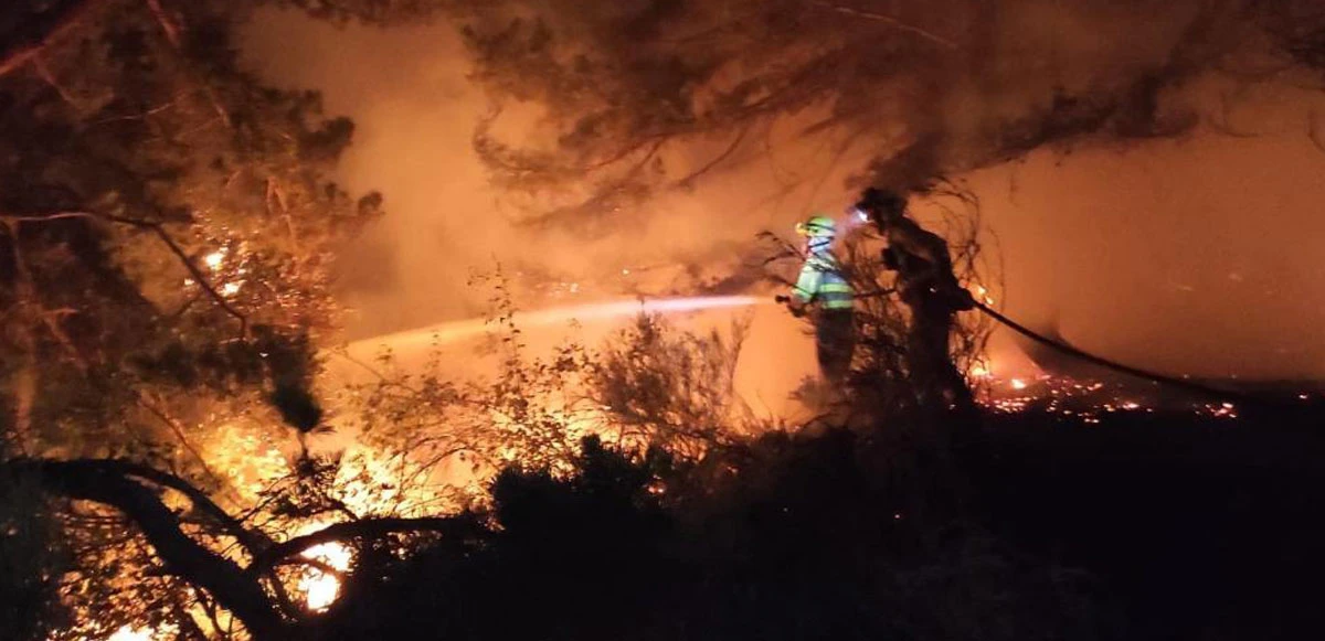 İspanya'daki orman yangınında alevlerden koşarak kurtuldu