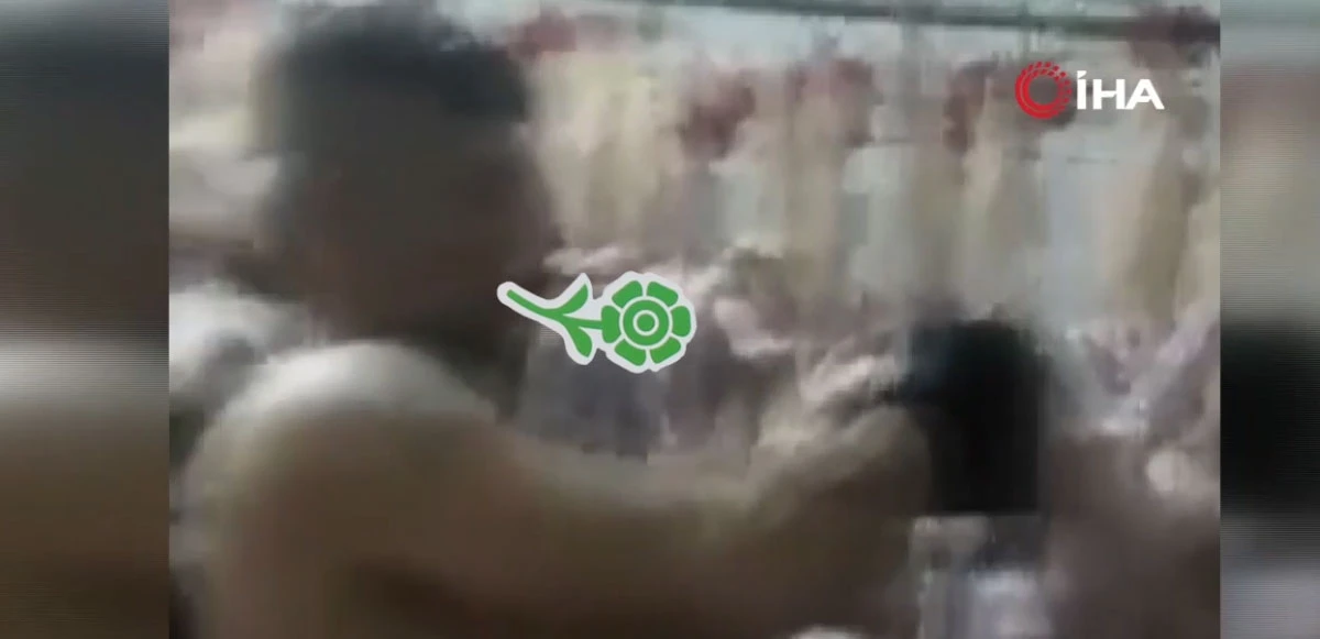 Mide bulandıran görüntüler! Tavukları ağızlarında sigara oynayarak kestiler